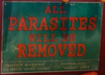 parasites standrews copy
